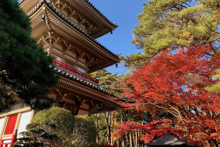 From Tokyo: Nikko Toshogu Shrine and Lake Chuzenji Day Trip Private Sightseeing Tours