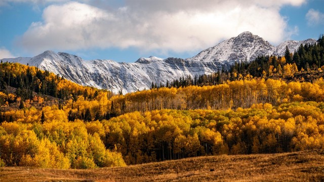 Visit Colorado Fall Color Photography Workshop in Indore