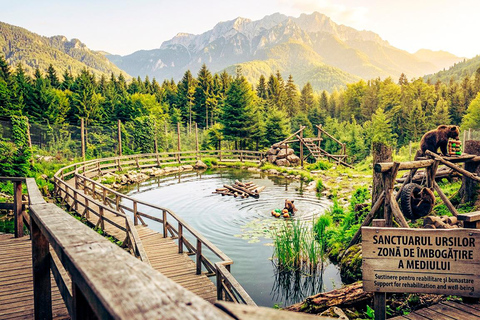 Bucharest: Dracula Castle, Bear Sanctuary & Medieval Brasov Entrance tickets: Dracula, Bear Sanctuary and Brasov
