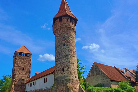 Heidelberg: Neckar, Romans, Half-Timbered Buildings – A Journey through Time to Ladenburg