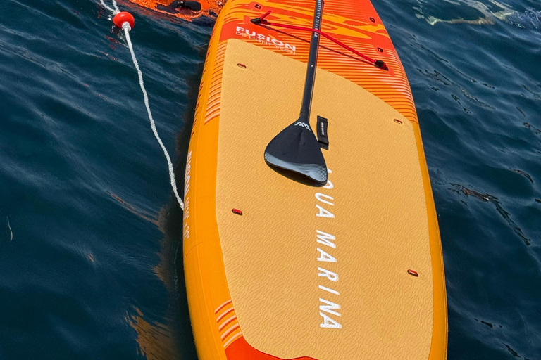 Cannes Private Boat Cruise with Captain and Water Activities Cannes Private Boat Cruise with Captain and Water Activities