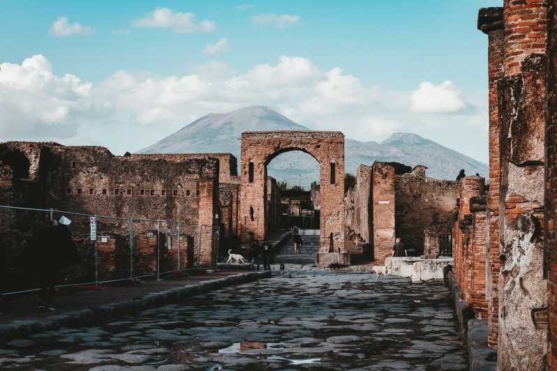 From Naples: Pompeii and Herculaneum Tour with Lunch