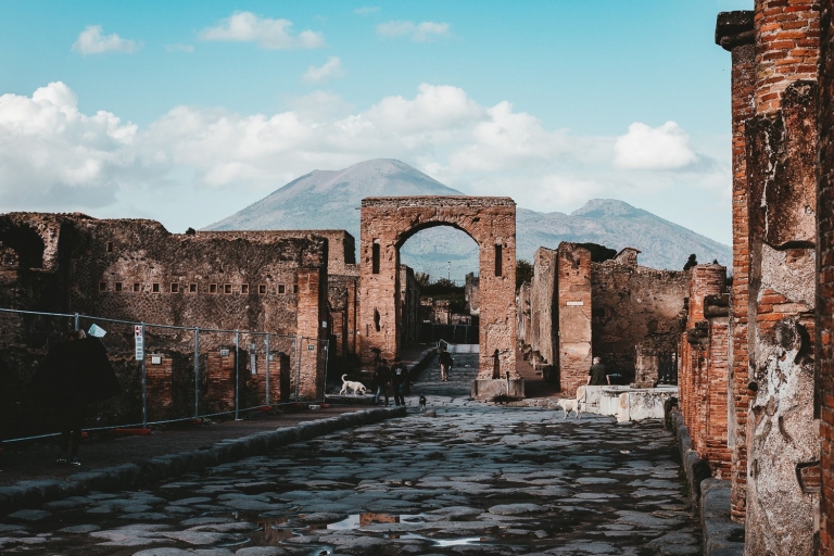 Pompeya y Herculano: tour de 1 día desde NápolesTour en inglés/italiano