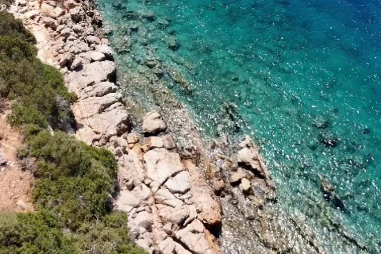 Escursione in barca di un'intera giornata sull'isola di Orak da BodrumEscursione in barca di un giorno intero all'isola di Orak da Bodrum