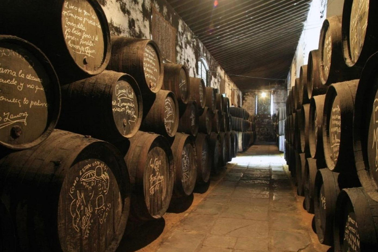 Jerez dalla Costa del Sol: cantine con degustazione di vini e spettacolo equestreJerez from the Costa del Sol: Wineries with Wine Tasting and Equestrian Show