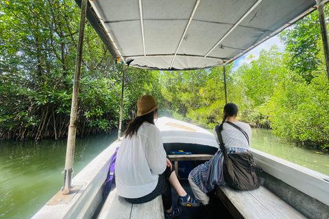 Galle Day Tour with Turtle Hatchery & River Boat Safari