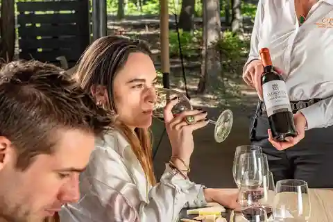 Santiago: Tour de medio día a la Viña Concha y Toro