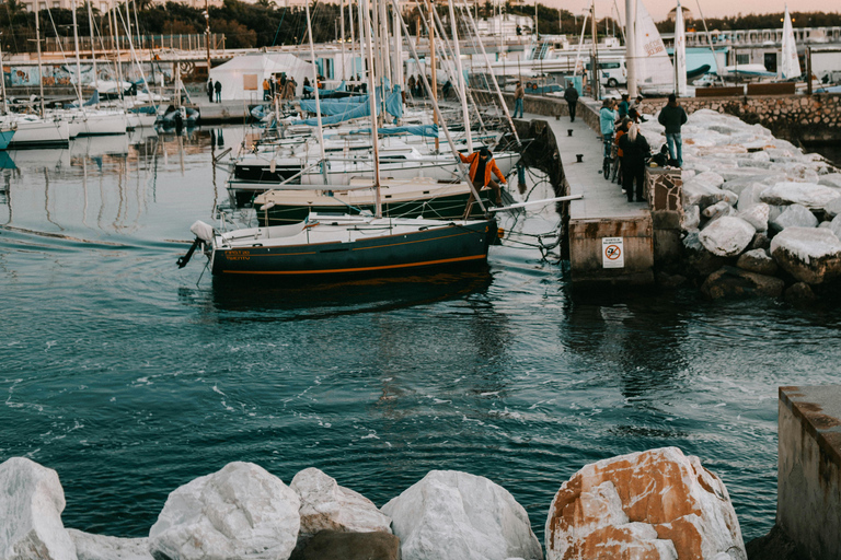 Pisa & Sunset Cruise Experience