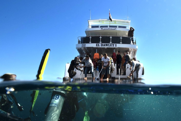 Sharm El Sheikh: Tiran Island Boat Diving & Snorkeling Intro Diving & Snorkeling – No Certification Required