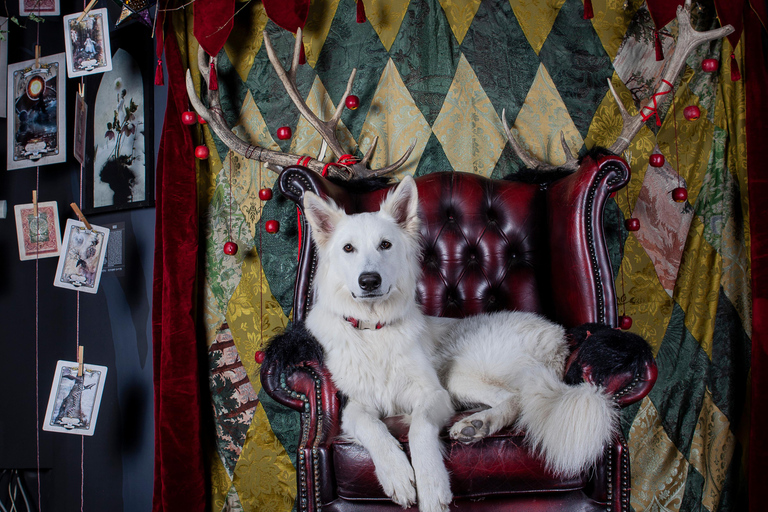 Croatia: Museum of Lost Tales