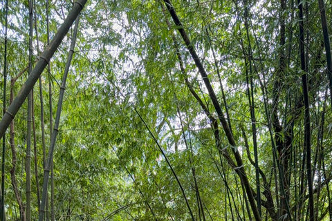 Tam Dao Private Day Tour With Misty Mountains, Cloud Views