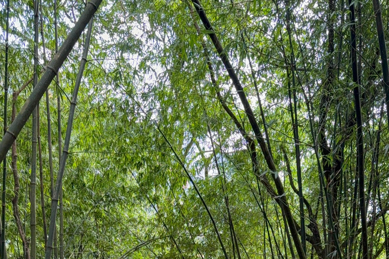 Tam Dao Private Day Tour With Misty Mountains, Cloud Views