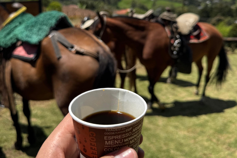 麦德林：山间骑行