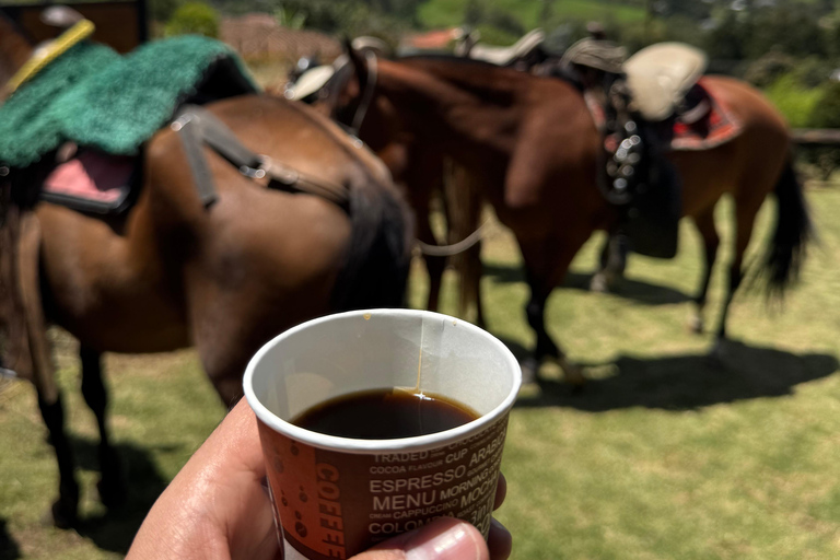 麦德林：山间骑行