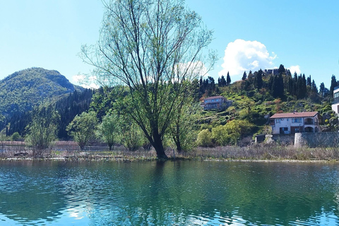 Bar: Montenegro Highlights Tour for Cruise Passengers