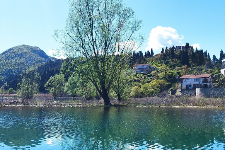 Bar: Montenegro Highlights Tour for Cruise Passengers