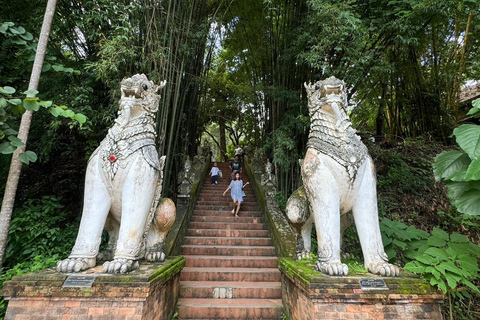 Chiang Mai : Sanctuaire des éléphants, sentier des moines et visite du Doi SuthepLieu de rendez-vous