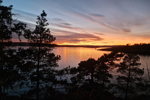 Oslo: Malmøya Island Guided Hike with Waffle and Drink
