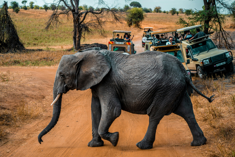 2 Días Tarangire y Cráter del Ngorongoro