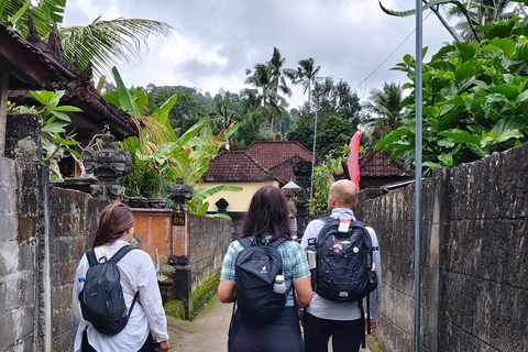 Sidemen rice terraces trek and local village walk sidemen rice terrace, village walk and local market