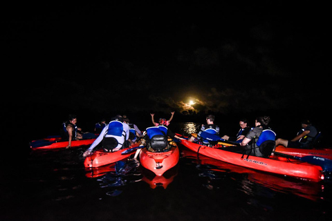 Fajardo: Bioluminescent Bay Kayak Tour in Puerto Rico