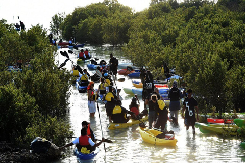 Doha: Private Purple Island Mangroves Kayaking Adventure