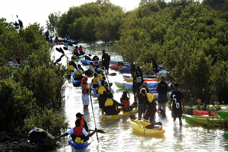 Doha: Avventura privata sulle mangrovie dell&#039;Isola Viola in kayak