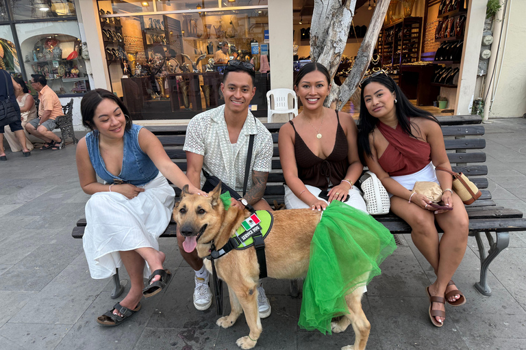 San José del Cabo: Thursday Night Art Walk Tour Private Art Walk with Artist, Musician, Author & Harper Lee!