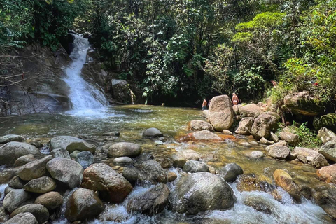 Medellín: WĘDROWNICTWO QUEBRADA BOQUERÓNMedellín: QUEBRADA BOQUERÓN GORGE HIKING