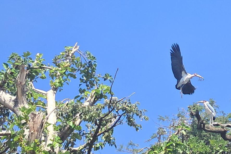 Addis Ababa: 6-Day Abijata Shalla NP & Bale Mountains Tour