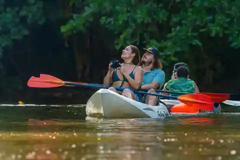 Limón Tortuguero Canals: Naturalist Kayak Eco Adventure