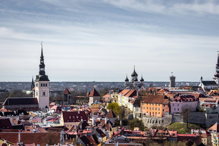 Helsinki: Ferry Between Helsinki & Tallinn with Eckero Line Tallinn → Helsinki (One Way)