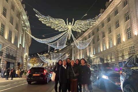 London: Christmas Lights Black Cab Tour with Hotel Pickup