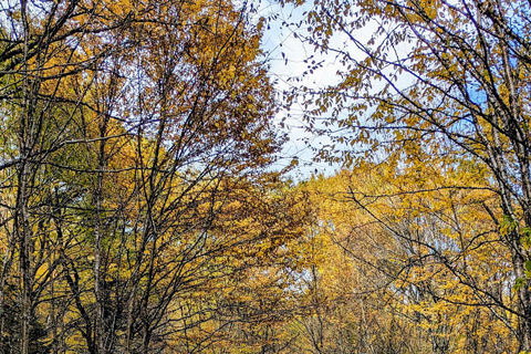 All-Inclusive Guided Hike to Jacques-Cartier National Park All-Inclusive Guided Hiking Tour