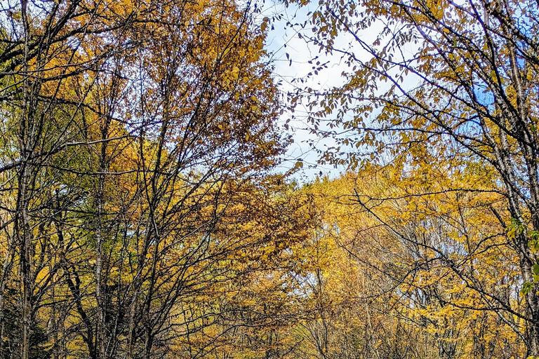 All-Inclusive Guided Hike to Jacques-Cartier National Park All-Inclusive Guided Hiking Tour