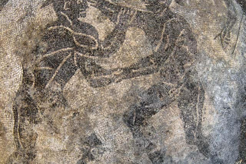 Baia: Snorkeling Experience with Roman Ruins Single Snorkeling