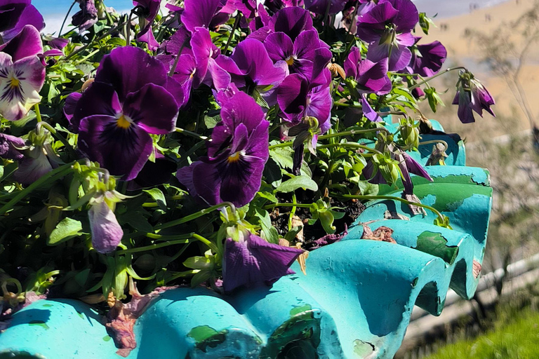 Saint-Sébastien : visite privée au départ de Pampelune