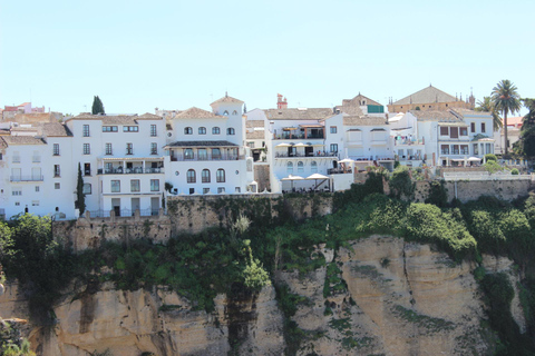 Från Málaga: Ronda-upplevelse med oljeprovning