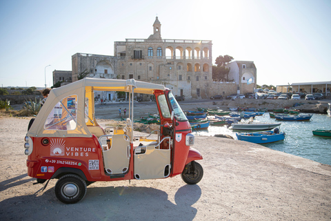 Vintage Ape Calessino: Polignano a Mare Tours Vintage Ape Calessino: Polignano a Mare Tours 60 Minutes