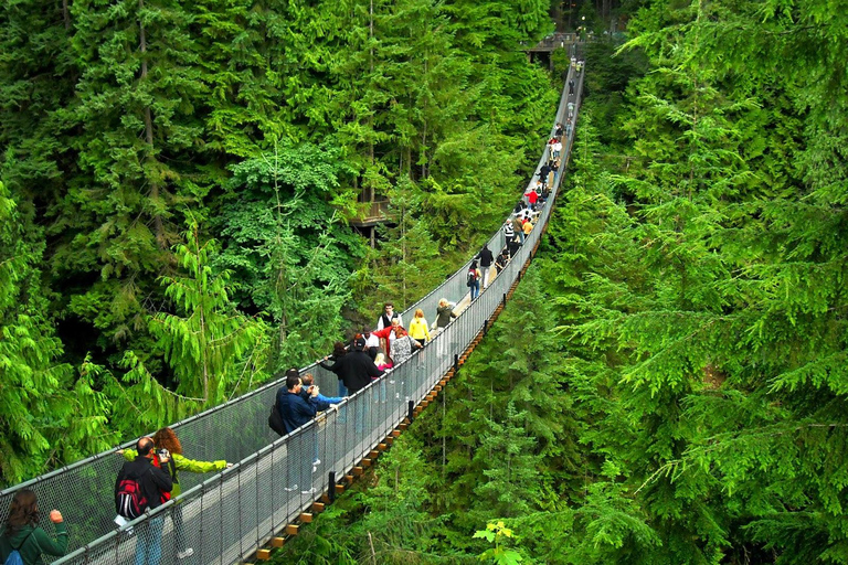 Vancouver: most Capilano, Grouse Mountain i AquabusVancouver: Capilano Bridge, Grouse Mountain &amp; Aquabus Tour