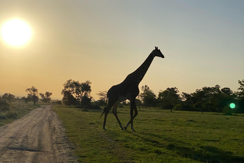 Nairobi: begeleide fietssafari met transfer en maaltijdNairobi: begeleide fietssafari met transfers (zonder maaltijden)