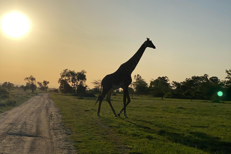 Nairobi: begeleide fietssafari met transfer en maaltijdNairobi: begeleide fietssafari met transfers (zonder maaltijden)