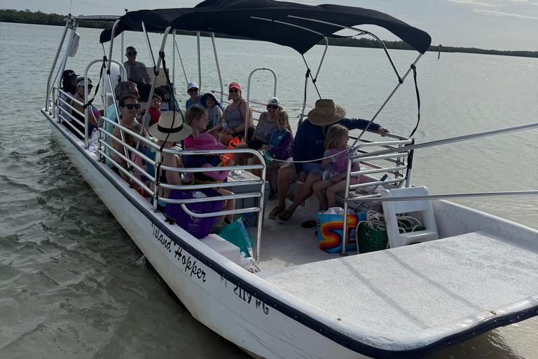 Marco Island: Dolphin, Shelling, Beach & Ten Thousand Island 4 Hour Option