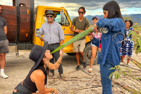 Monte Albán, hierve el agua, Mezcal y Teotitlán