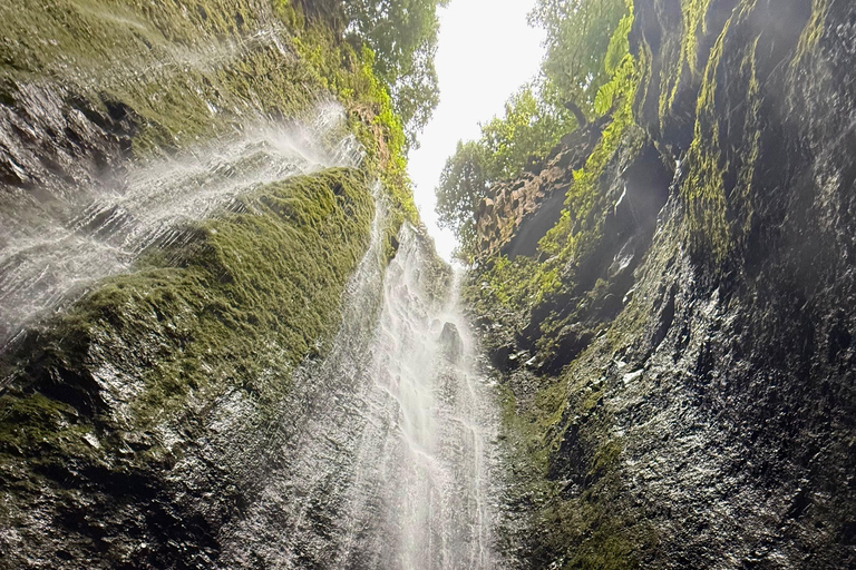 Elite Canyoning L3: The 60m Ribeira Funda Vertical Challenge