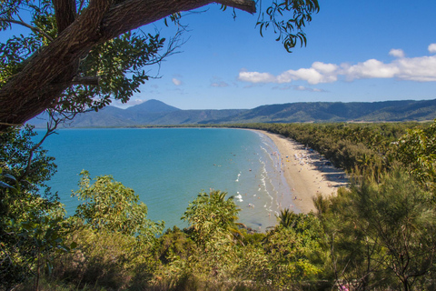 Floresta tropical de Daintree: Cruzeiro pelo rio e caminhada pela floresta tropical