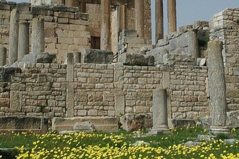 Excursion privée au départ de Tunis : Dougga et Bulla RegiaAu départ de Tunis : excursion privée à Dougga et Bulla Regia