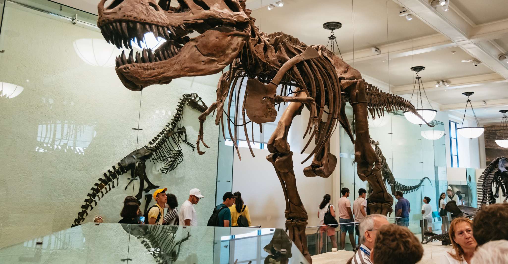 New York City, American Museum of Natural History Ticket - Housity