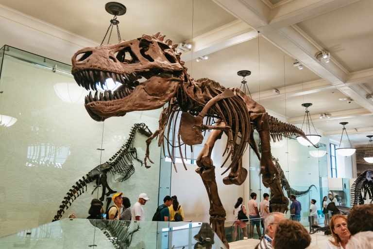 New York City: American Museum of Natural History TicketAllgemeiner Eintritt