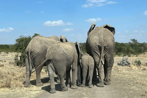 Nairobi:1 Day Ol Pejeta Excursion with guide and transfer